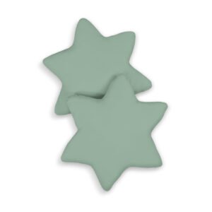 2pcs pillow set - pastel green